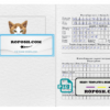 Kyrgyzstan cat (animal, pet) passport PSD template, fully editable