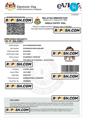 MALAYSIA electronic visa PSD template, fully editable
