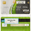 Malaysia Packet 1 Network bank visa electron card, fully editable template in PSD format