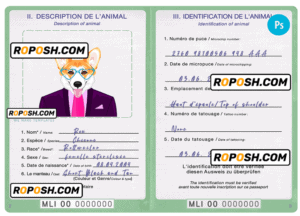 Mali dog (animal, pet) passport PSD template, completely editable