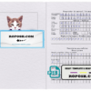 Moldova cat (animal, pet) passport PSD template, fully editable