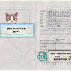 Moldova cat (animal, pet) passport PSD template, fully editable scan effect