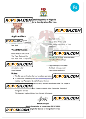 NIGERIA electronic travel visa PSD template, completely editable, with fonts