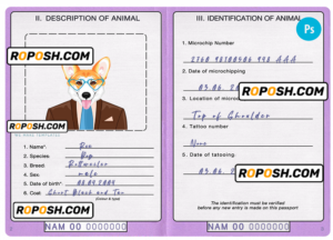 Namibia dog (animal, pet) passport PSD template, fully editable