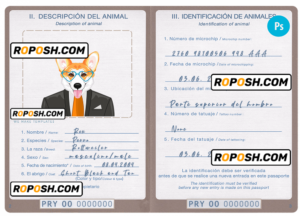 Paraguay dog (animal, pet) passport PSD template, fully editable