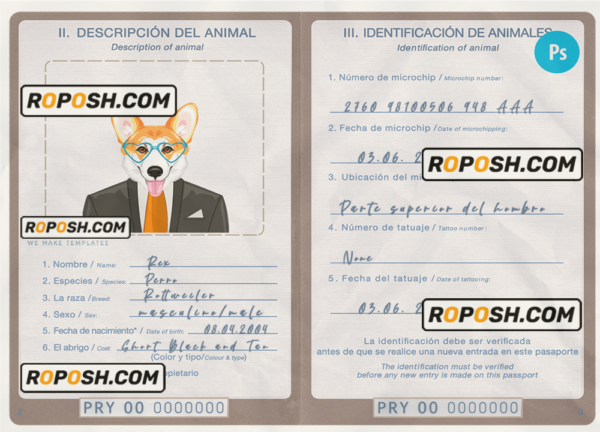 Paraguay dog (animal, pet) passport PSD template, fully editable scan effect