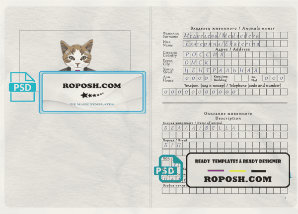 Russia cat (animal, pet) passport PSD template, fully editable