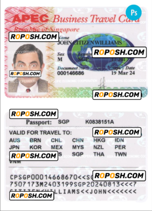 SINGAPORE business travel card PSD template