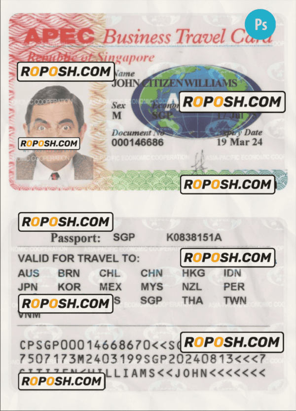 SINGAPORE business travel card PSD template