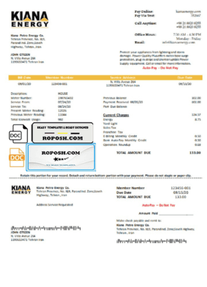 Iran Kiana Petro Energy Co utility bill template in Word and PDF format