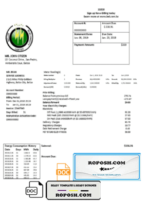 Belize Electricity Limited electricity utility bill template in Word and PDF format