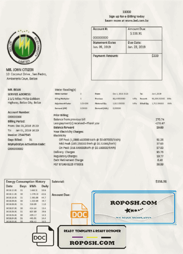 Belize Electricity Limited electricity utility bill template in Word and PDF format