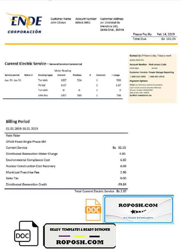 Bolivia ENDE Corporacion electricity utility bill template in Word and PDF format
