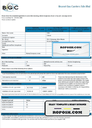 Brunei Gas Carriers gas utility bill template in Word and PDF format
