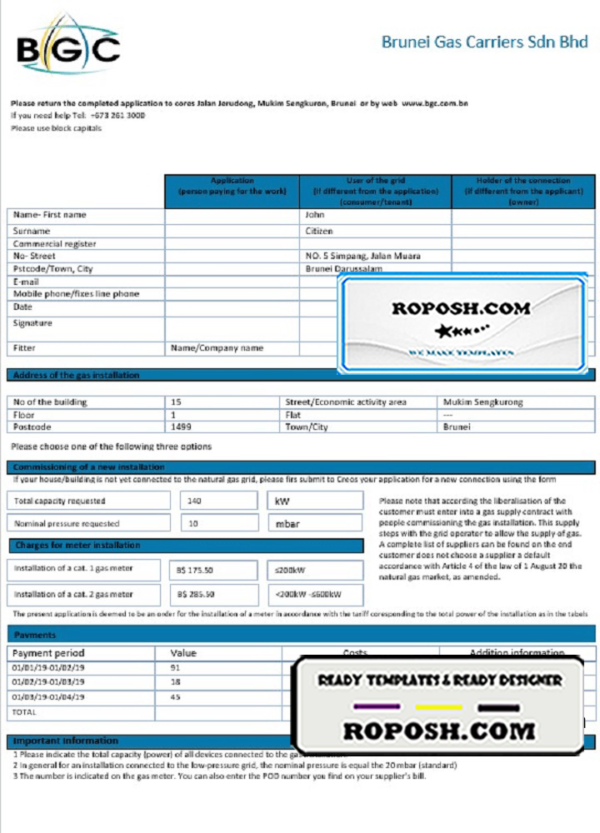 Brunei Gas Carriers gas utility bill template in Word and PDF format