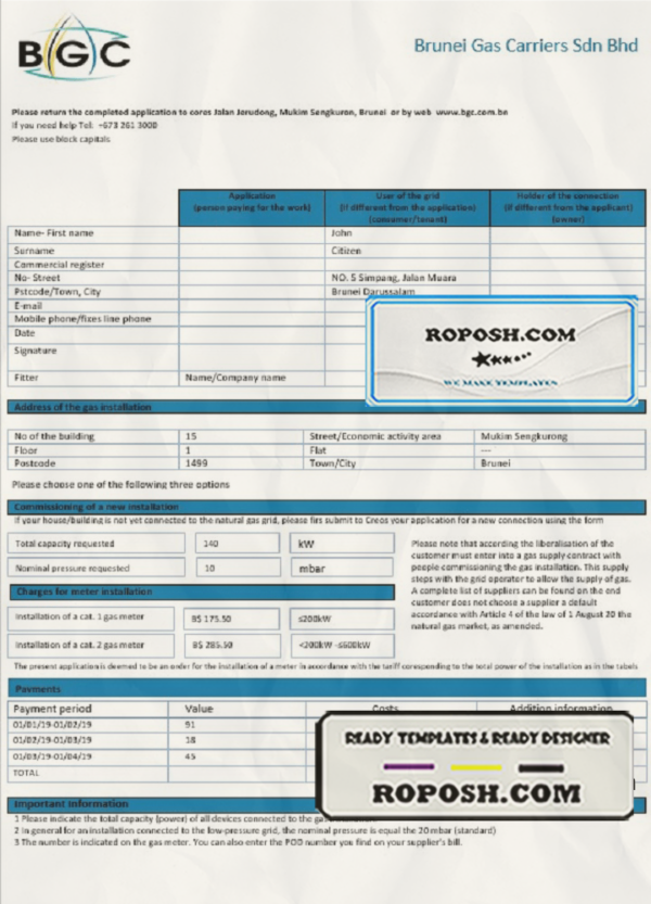 Brunei Gas Carriers gas utility bill template in Word and PDF format scan effect