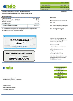 Cameroon ENEO electricity utility bill template in Word and PDF format