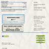Cameroon ENEO electricity utility bill template in Word and PDF format