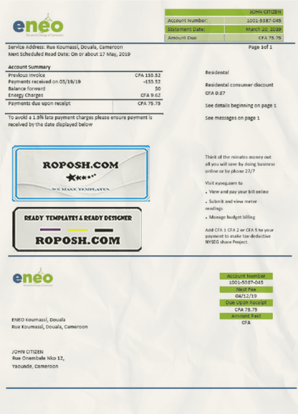 Cameroon ENEO electricity utility bill template in Word and PDF format