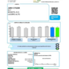 Colombia ENEL energy utility bill template in Word and PDF format