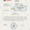 Switzerland UBS bank reference letter template in Word and PDF format scan effect