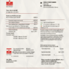 Monaco SMEG electricity utility bill template in Word and PDF format
