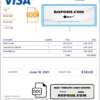 USA Visa invoice template in Word and PDF format, fully editable