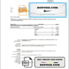 USA BMW invoice template in Word and PDF format, fully editable