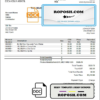 USA Coca-Cola invoice template in Word and PDF format, fully editable