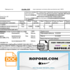 Belarus Gomel energo utility bill template in .doc and .pdf format, fully editable