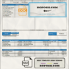 USA Tata Consulting Services invoice template in Word and PDF format, fully editable scan effect