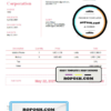 USA Lifeline Corporation invoice template in Word and PDF format, fully editable, version 2