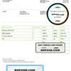 USA Louis Salon and Spa invoice template in Word and PDF format, fully editable