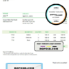 USA MSNG Shipping invoice template in Word and PDF format, fully editable