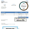 USA Silver Corp. invoice template in Word and PDF format, fully editable