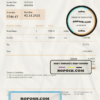 USA The Elm Premier invoice template in Word and PDF format, fully editable scan effect