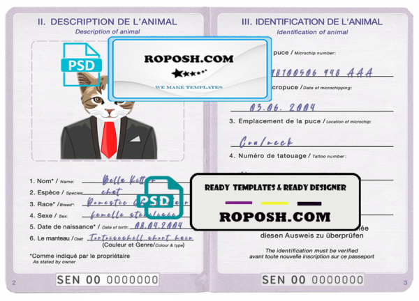 Senegal cat (animal, pet) passport PSD template, fully editable
