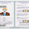 Seychellas dog (animal, pet) passport PSD template, fully editable
