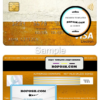 Slovenia Intesa Sanpaolo Bank, Poslovalnica Koper bank visa electron card, fully editable template in PSD format