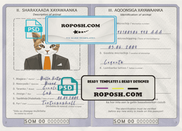 Somalia cat (animal, pet) passport PSD template, fully editable