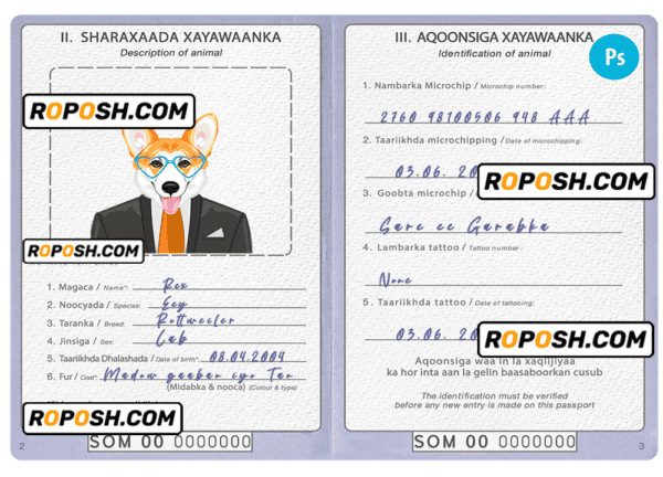 Somalia dog (animal, pet) passport PSD template, fully editable