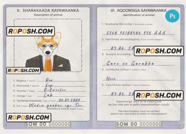Somalia dog (animal, pet) passport PSD template, fully editable