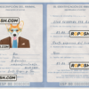 Spain dog (animal, pet) passport PSD template, completely editable