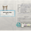 Tajikistan cat (animal, pet) passport PSD template, fully editable scan effect