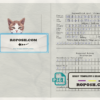 Turkmenistan cat (animal, pet) passport PSD template, fully editable