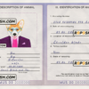 United States of America dog (animal, pet) passport PSD template, fully editable