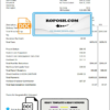 USA FlexiTime workforce management & payroll solutions invoice template in Word and PDF format, fully editable