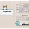 Uzbekistan cat (animal, pet) passport PSD template, fully editable