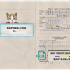 Uzbekistan cat (animal, pet) passport PSD template, fully editable scan effect