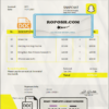 USA Snapchat invoice template in Word and PDF format, fully editable